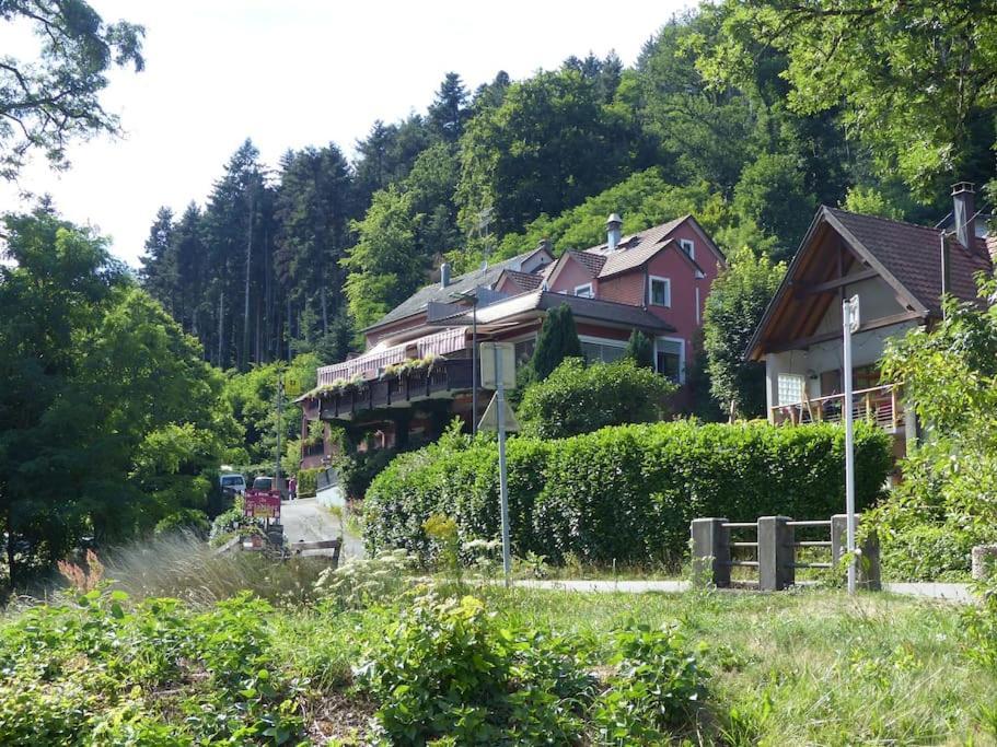 Appartement Entier Dans Un Ecrin De Verdure タン エクステリア 写真