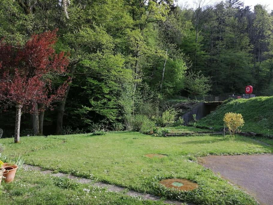 Appartement Entier Dans Un Ecrin De Verdure タン エクステリア 写真