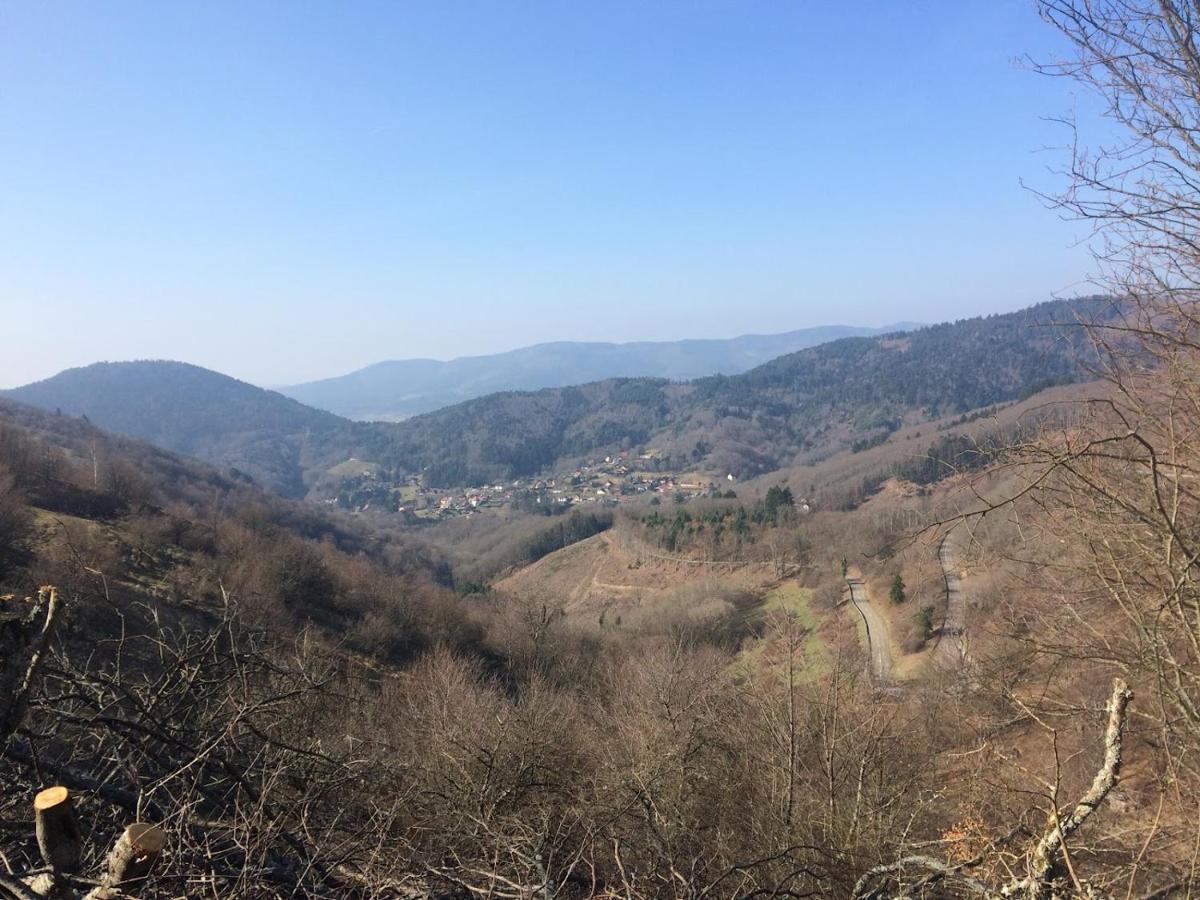 Appartement Entier Dans Un Ecrin De Verdure タン エクステリア 写真