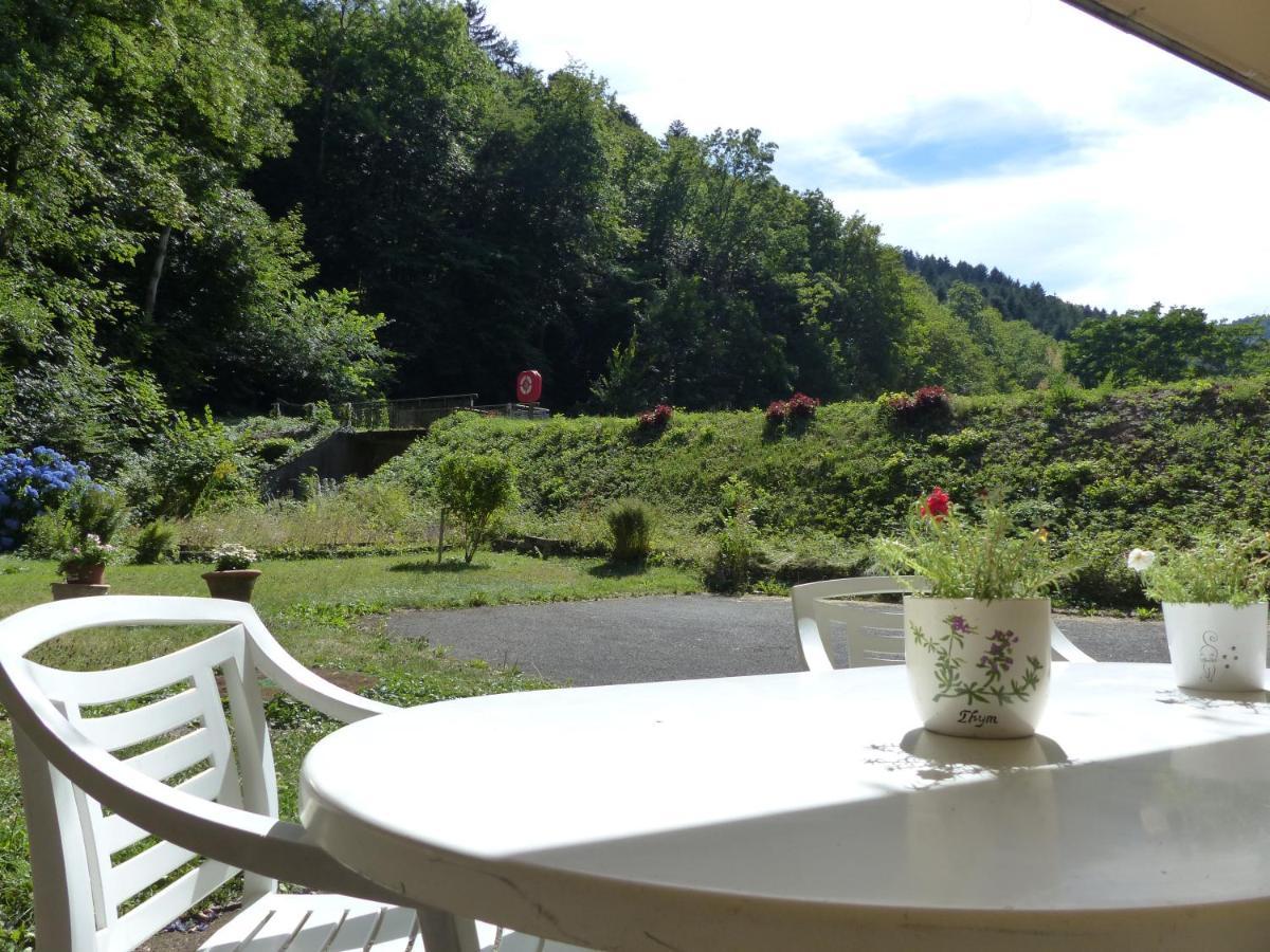 Appartement Entier Dans Un Ecrin De Verdure タン エクステリア 写真